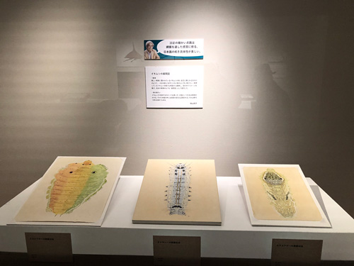 細見美術館　虫めづる日本の美　桃山鈴子展示