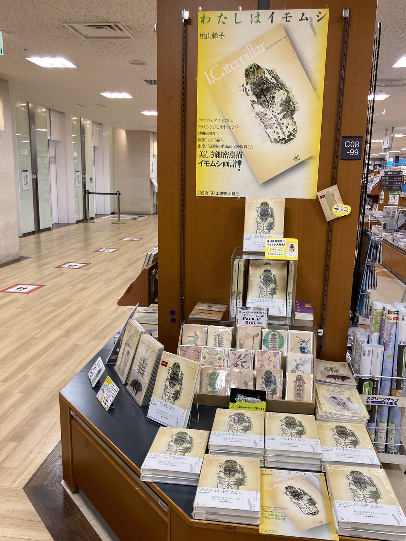 紀伊國屋書店玉川高島屋店　『わたしはイモムシ』パネル展1