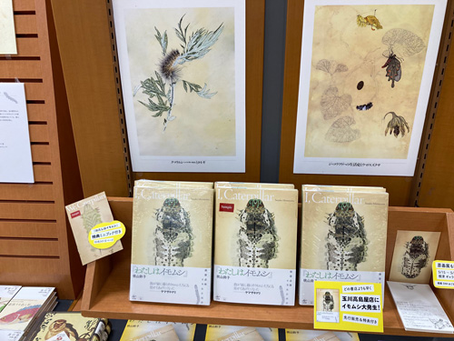 紀伊國屋書店玉川高島屋店　『わたしはイモムシ』パネル展3