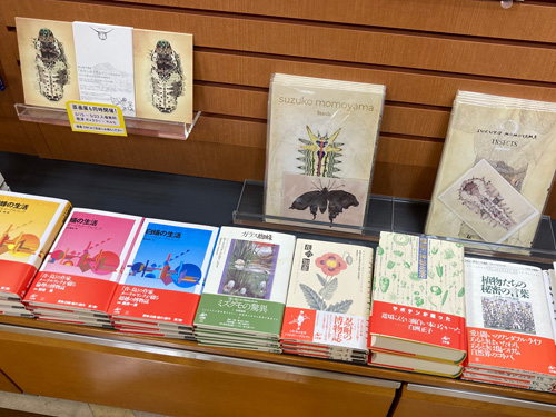 紀伊國屋書店玉川高島屋店　『わたしはイモムシ』パネル展5