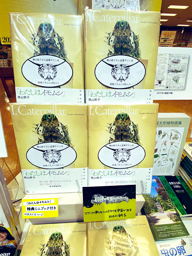 未来屋書店北戸田店『わたしはイモムシ』パネル展2