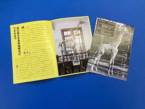『キリンが来た道』 特製リーフレット