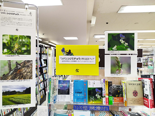 くまざわ書店武蔵小金井北口店フェア