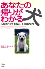 あなたの帰りがわかる犬