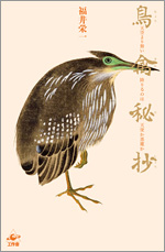 鳥禽秘抄