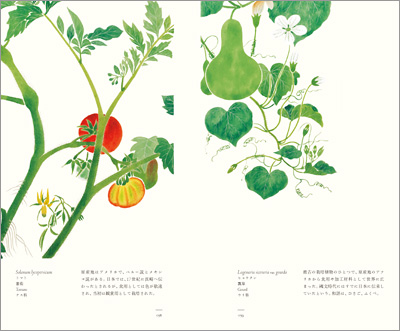 左ページはトマト（蕃茄）、右ページはヒョウタン（瓢箪）『江戸博物文庫　菜樹の巻』より