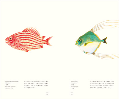 左ページはイットウダイ（一刀鯛）、右ページはイトヒキアジ（糸引鰺）『江戸博物文庫　魚の巻』より