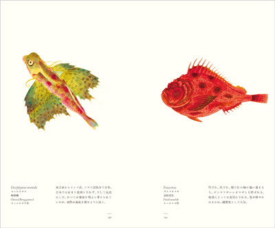 左ページはセミホウボウ（蝉魴鮄）、右ページはダルマオコゼ（達磨虎魚）『江戸博物文庫　魚の巻』より