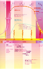 からだ変化表