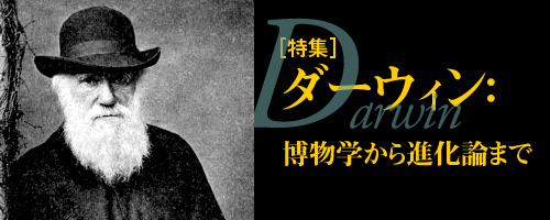 特集：ダーウィン 博物学から進化論まで