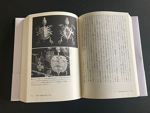 本文は発生図版が豊富|『反復幻想』写真・中頁