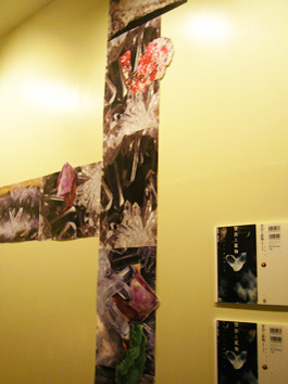 『賢治と鉱物』ブックデザイン展