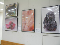 ジュンク堂池袋本店_写真展