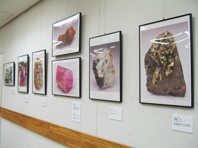 ジュンク堂池袋本店_写真展