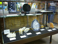 ジュンク堂池袋本店_鉱物展示