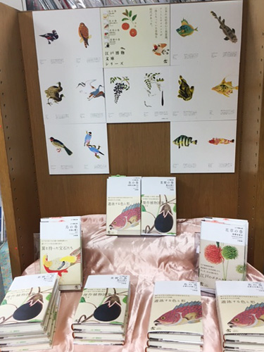 紀伊國屋書店新宿本店『江戸博物文庫』パネル展