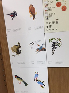 「鳥の巻」パネルより/紀伊國屋書店新宿本店