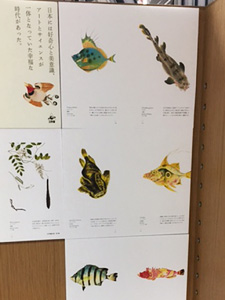 「魚の巻」パネルより/紀伊國屋書店新宿本店