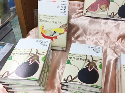 紀伊國屋書店新宿本店『江戸博物文庫』パネル展