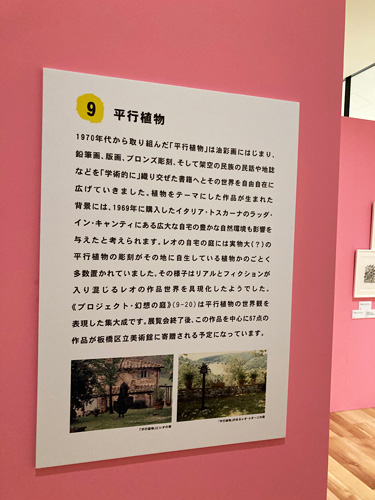 「平行植物」展示コーナー|だれも知らないレオ・レオーニ展