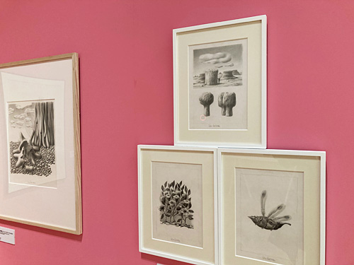 「平行植物」展示コーナー|だれも知らないレオ・レオーニ展