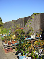 青空と植木鉢