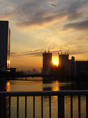 朝潮橋から眺めた夕陽