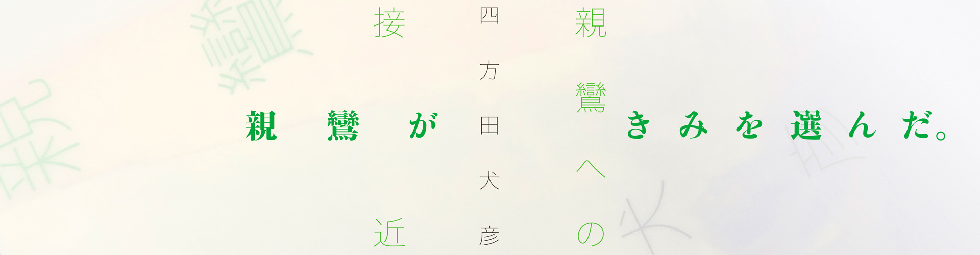 『親鸞への接近』