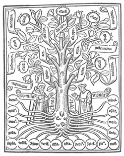 ルル『学問の樹』（リヨン、1515年版）より